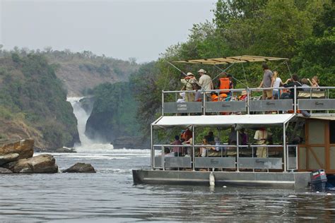 Murchison Falls National Park Full Day Game Drive Join Up Safaris