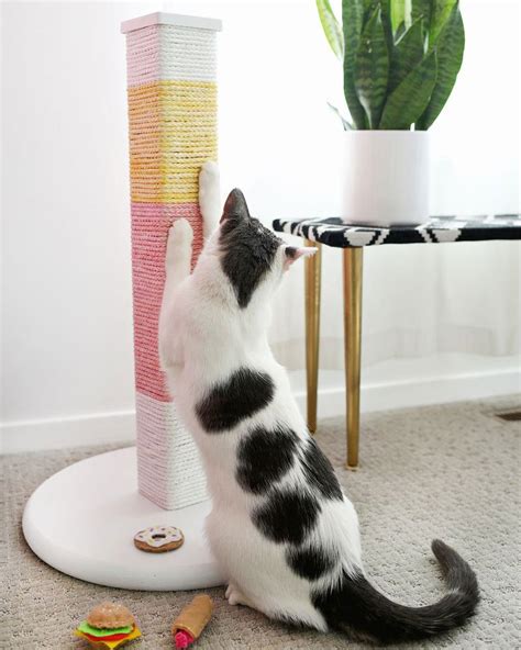 Diy Pour Fabriquer Un Arbre Chat Marie Claire