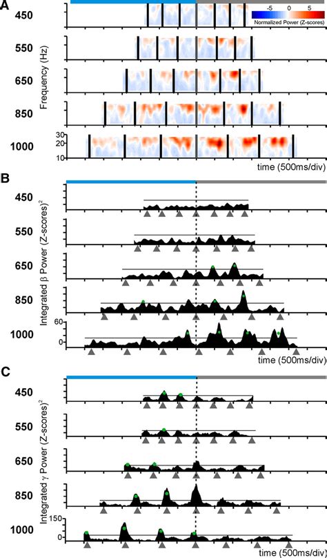 Dual selectivity to the interval duration and the task phase in the LFP ... 