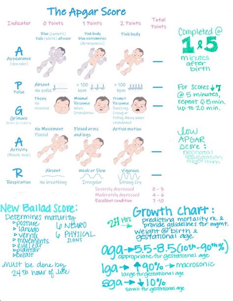 Apgar Score Nursing Pediatric Nursing Nursing School Survival Neonatal Nurse