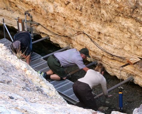 Devils Hole Pupfish Population Soars At Death Valley National Park