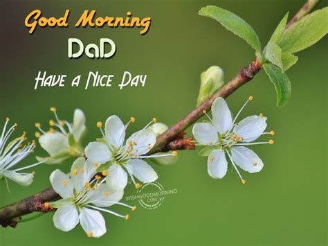 Good Morning Dad Have A Nice Day Good Morning Wishes And Images