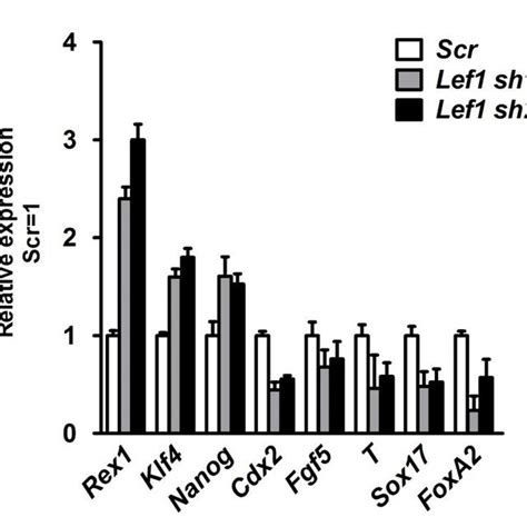 Fig S1 Knockdown Of Lef1 Promotes R1 Esc Self Renewal A Morphology