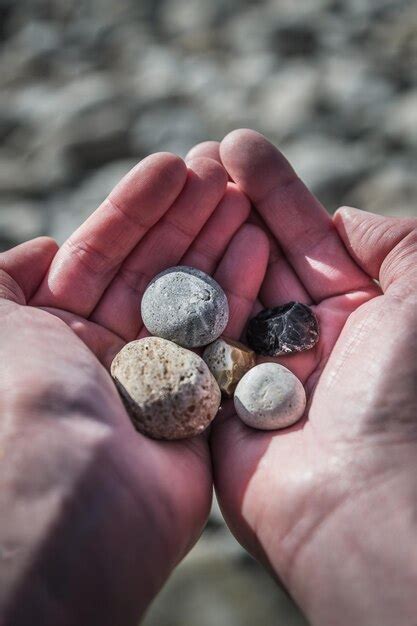 Premium Photo Cropped Hand Of Person Holding Pebble Stones