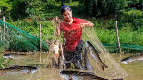 Harvest Catfish Goes To The Market Sell Ella Daily Life Youtube