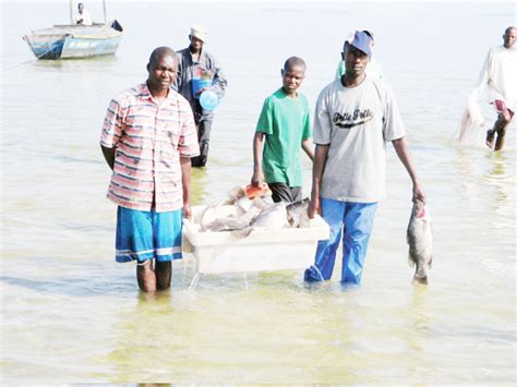 Fishermen At A Lake Victoria Fish Landing Centre Africa Icsf