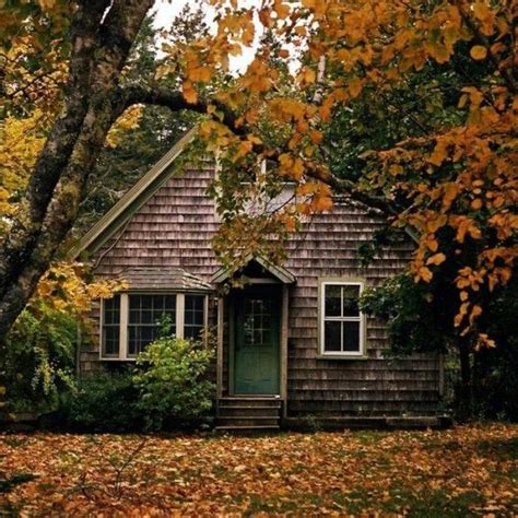 Autumn Cozy Aesthetics Cottage Cabins In The Woods Country Cottage