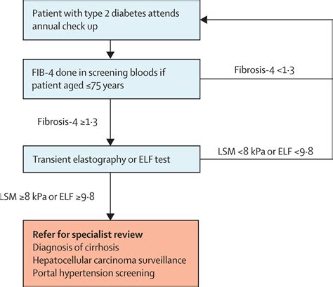 Implementation of a liver health check in people with type 2 diabetes ...