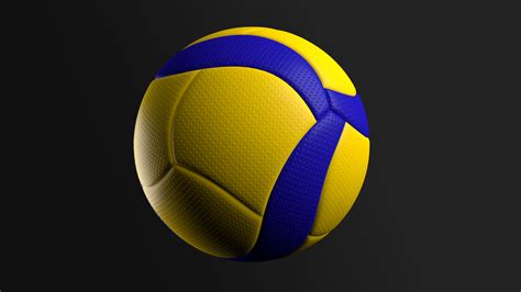 Volleyballs MIKASA V200W Volleyball Indoor Volleyballs