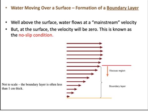 Physics of fluids - starter ques Flashcards | Quizlet