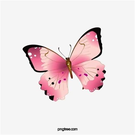 Butterflies Float Png Transparent Butterflies Float Element Butterfly