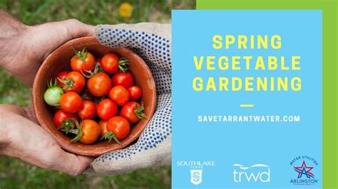 Spring Vegetable Gardening For North Texas Youtube