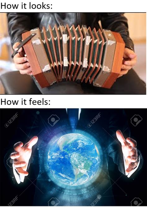 Someone Asked For Accordion Memes Raccordion