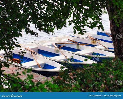 Rental Row Boats Docked On Lake Side Bucharest Romania Stock Photo