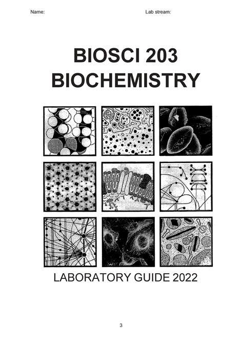 203 2022 Lab Manual To Print 1 Name Lab Stream Biosci 203