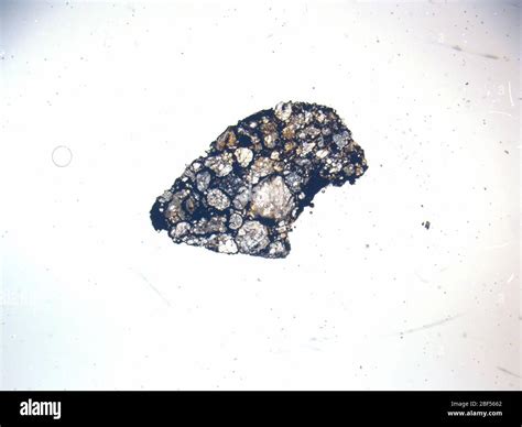 Micrograph Of Eet 960152 Meteorite Under Plane Polarized Light At 1