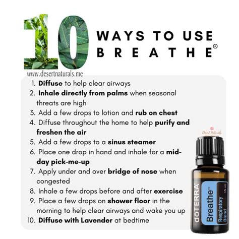 Doterra Breathe Essential Oil 2023 Desert Naturals Essential Oils And Holistic Living