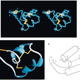 Circular Dichroism Spectra Of Synthetic Bgk And K A Mutant