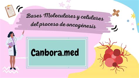 Oncogenesis Canbora Med Udocz