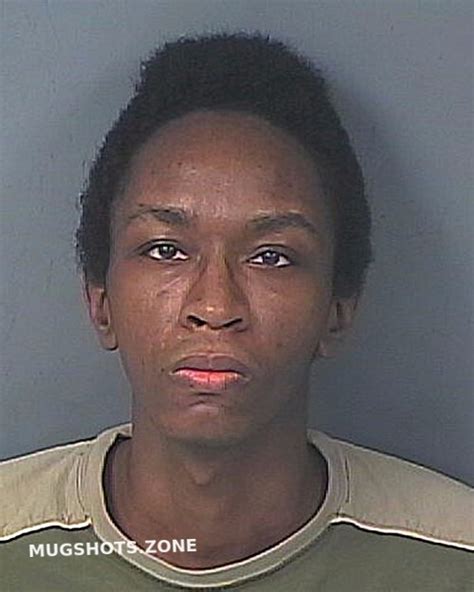 Jones Joseph Alexander 11 16 2023 Hernando County Mugshots Zone