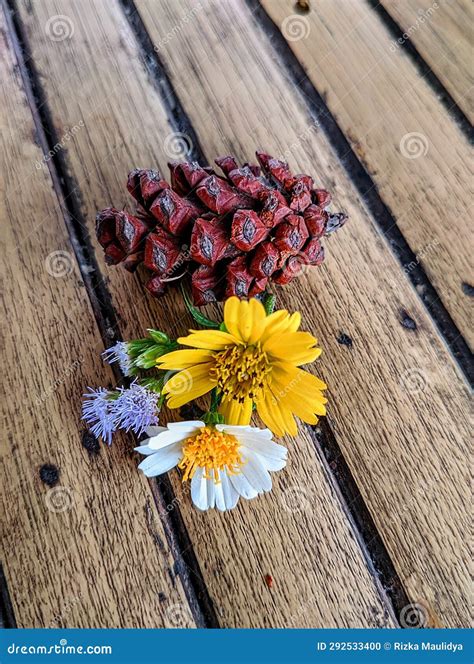 Colourful Flower And Pine Cone On Top Of The Wood Table Stock Photo