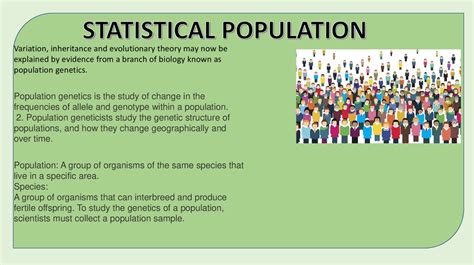 Population Statistics презентация онлайн