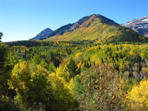 Fall American Fork Canyon Utah Stock Photo - Image of fall, green: 14665892