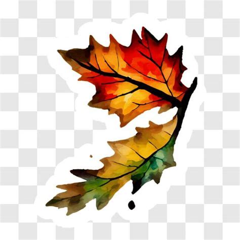 Download Autumnal Oak Leaf Sticker For Home And Office Decor Png Online