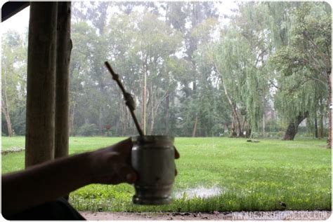 El ritual del mate - Dejarlo todo e Irse
