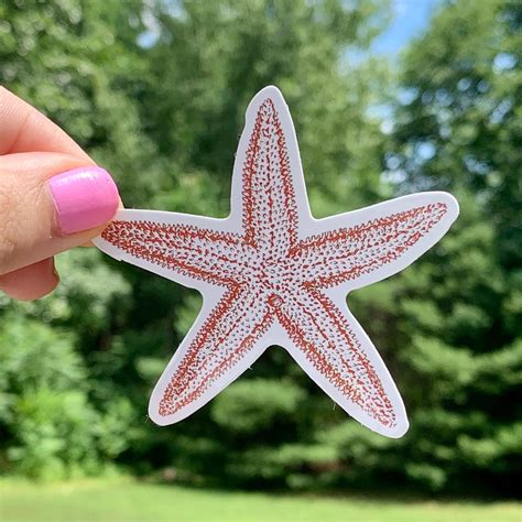 Starfish Vinyl Sticker Decal For Water Bottle Sticker Laptop Etsy