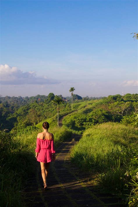 Ubud Bali Campuhan Ridge Walk Mokum Surf Club