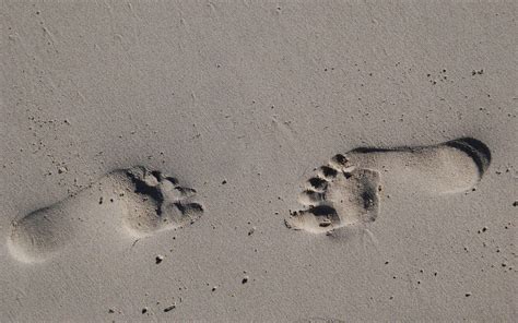 Footprints In The Sand Wallpapers Wallpaper Cave