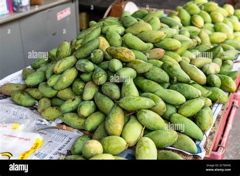 Green Mangoes Lying On A Market Counter Exotic Fruits Of Asia Stock