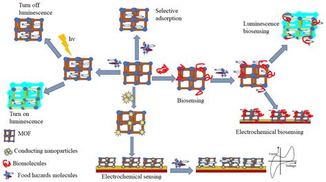 Metal Organic Frameworks Based Sensors For Food Safety Encyclopedia MDPI