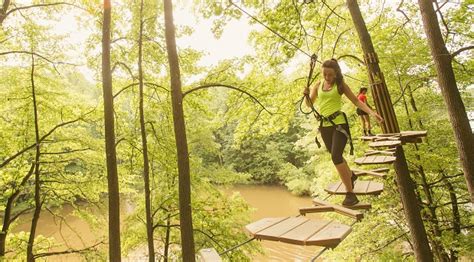 Proposed Zip Line In Baltimore County Park Killed After Online Pushback Maryland Daily Record