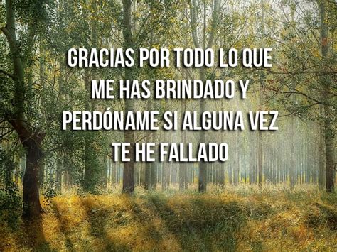 Las 83 Mejores Frases De Agradecimiento Frases Citas Y Reflexiones