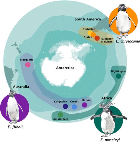 Adelie Penguin Habitat Map