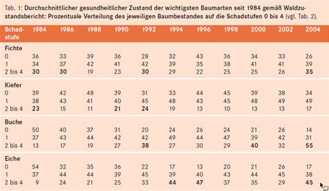 Wie Schlecht Geht Es Dem Wald