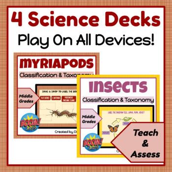 Arthropods Classification & Taxonomy BUNDLE by Diane Kelley | TpT