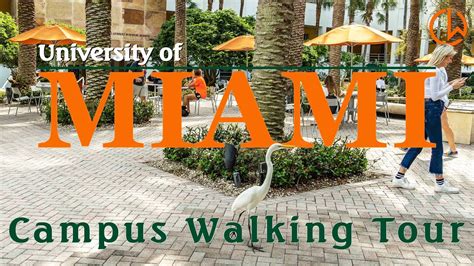 University Of Miami Campus Tour - Youtube: Explore The Beautiful Coral ...