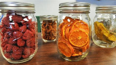 Guide To Dehydrating Food