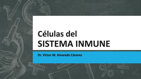 Células del Sistema Inmune Milagros Calderón uDocz