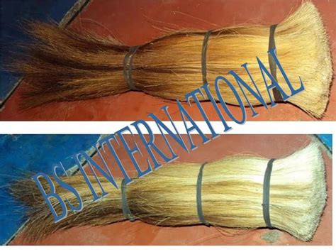 Cattle Tail Hair At Rs 475kg Cattle Hair For Brushes In Sambhal Id