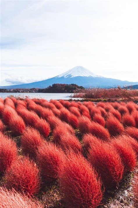 Japan Astounding Places You Must Visit Artofit