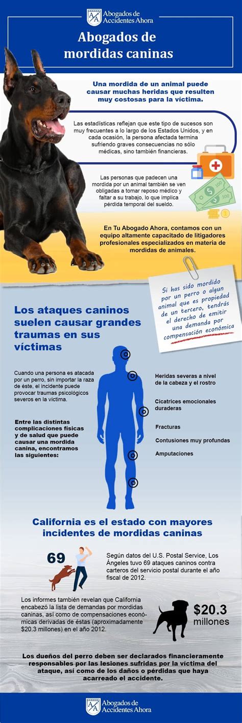 Lesiones Y Demandas Por Mordidas De Perro Abogados De Accidentes Ahora