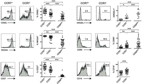 CCR7 2 CD56 Bright NK Cells Exhibit Phenotypic Features Of CD56 Dim