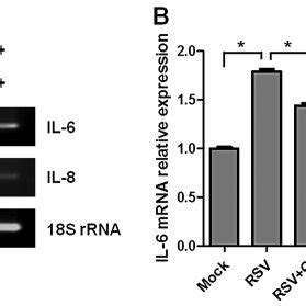 Microscopic Observation Of Korean Red Ginseng Extract KRGE Effects On