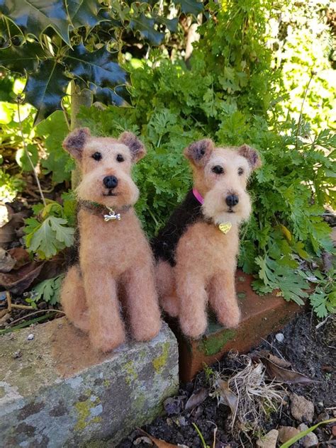 Made To Order Needle Felted Airedale Terrier Lakeland Terrier Etsy