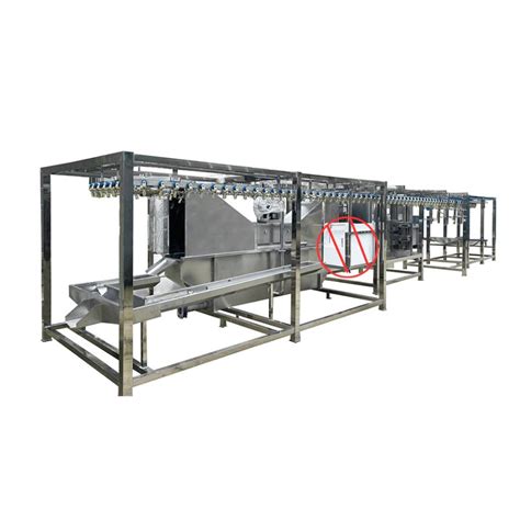 Eruis Halal Poultry Slaughter Chain Line Equipment For Frozen Chicken