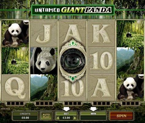 Panda Slots Online